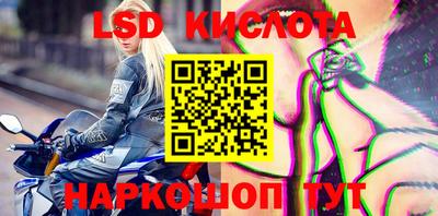 стафф Будённовск