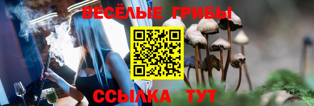 что такое   Вход с VPN  Партизанск  Псилоцибиновые грибы ЛСД 